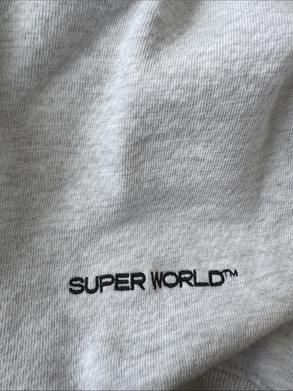 Aritzia Men's “Superworld” Crewneck Sweatshirt - Picture 6 of 7